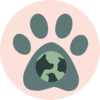 Zootopia